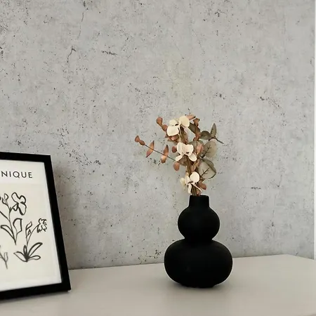 Apartment Aviatiei-boutique Bucharest